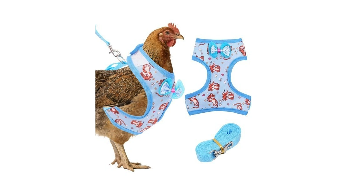 Adjustable Chicken Harness And Leash Set For Hens, Comfortable Breathable