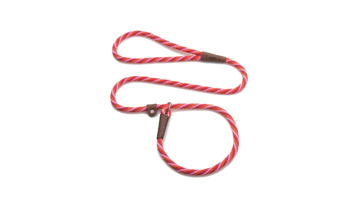 Mendota Pet Slip Leash - Dog Lead And Collar Combo