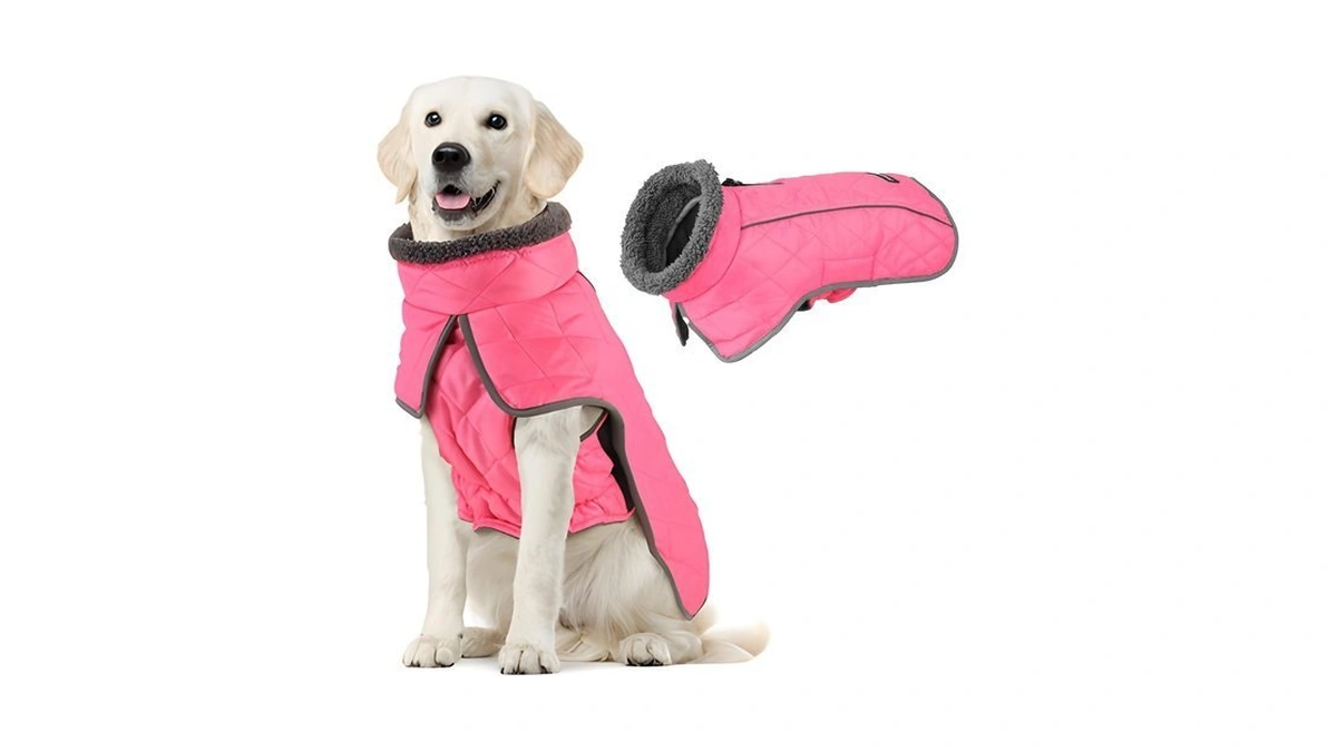 Fragralley Dog Winter Coat Turtleneck Windproof Dog Vest For Walking,hiking