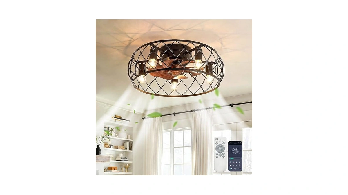 Xingsiyuelyx Fandelier Ceiling Fan With Light And Remote,19.7 Inch Caged