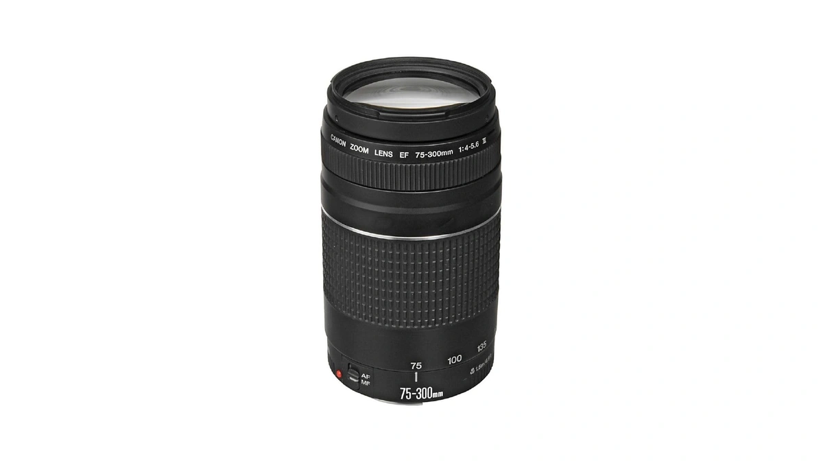 Canon Ef 75-300mm F/4-5.6 Iii Telephoto Zoom Lens For Canon
