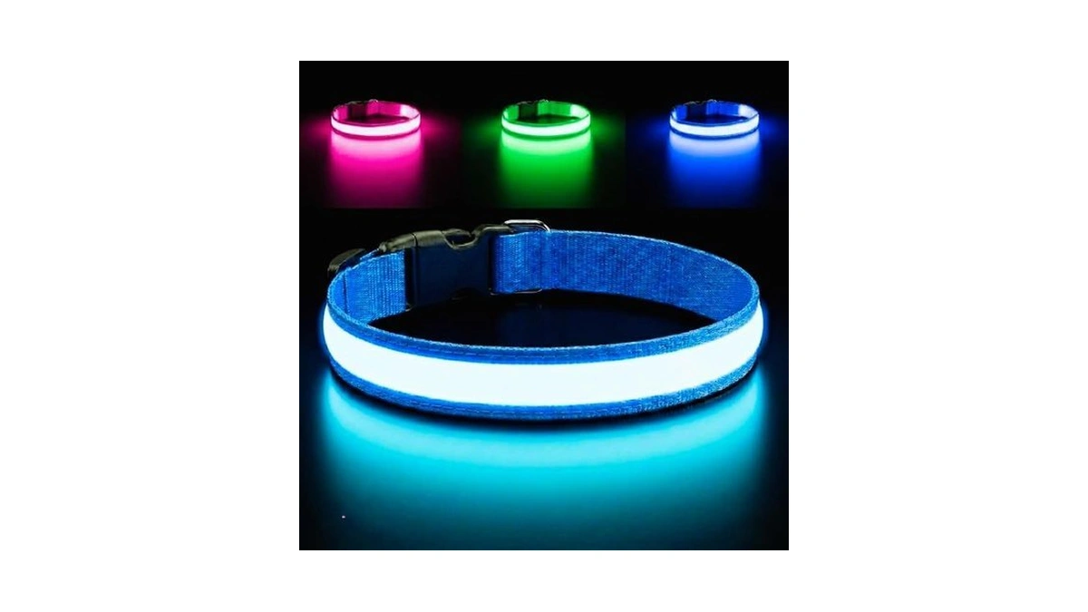 Light Up Dog Collar – Reflective, Adjustable & Rechargeable Electronic