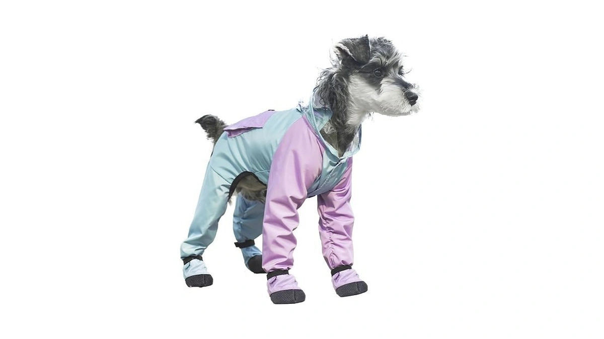 Pupytrens Dog Raincoat With Transparent Hood, Waterproof Jacket For Small