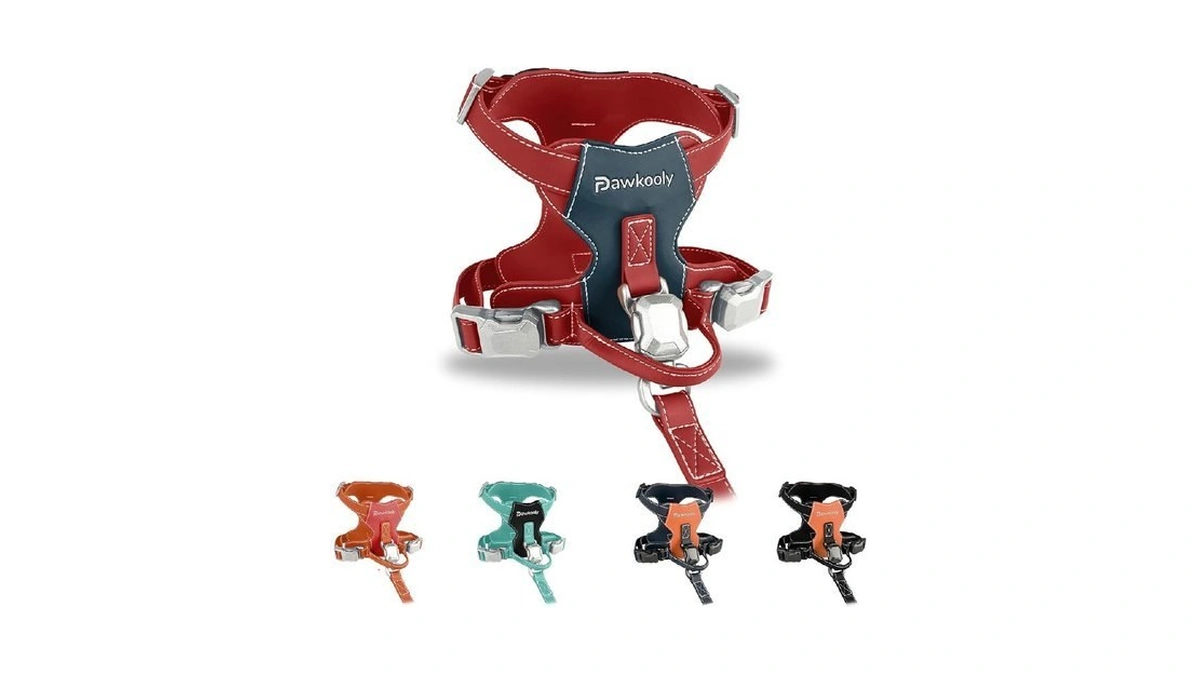 Pawkooly Magease Dog Harness With 4 Ft Leash | Anti-wrinkle