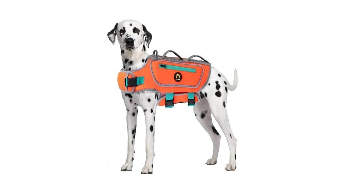 Sheripet Dog Life Jacket, Good Visibility Pet Swimming Vest For