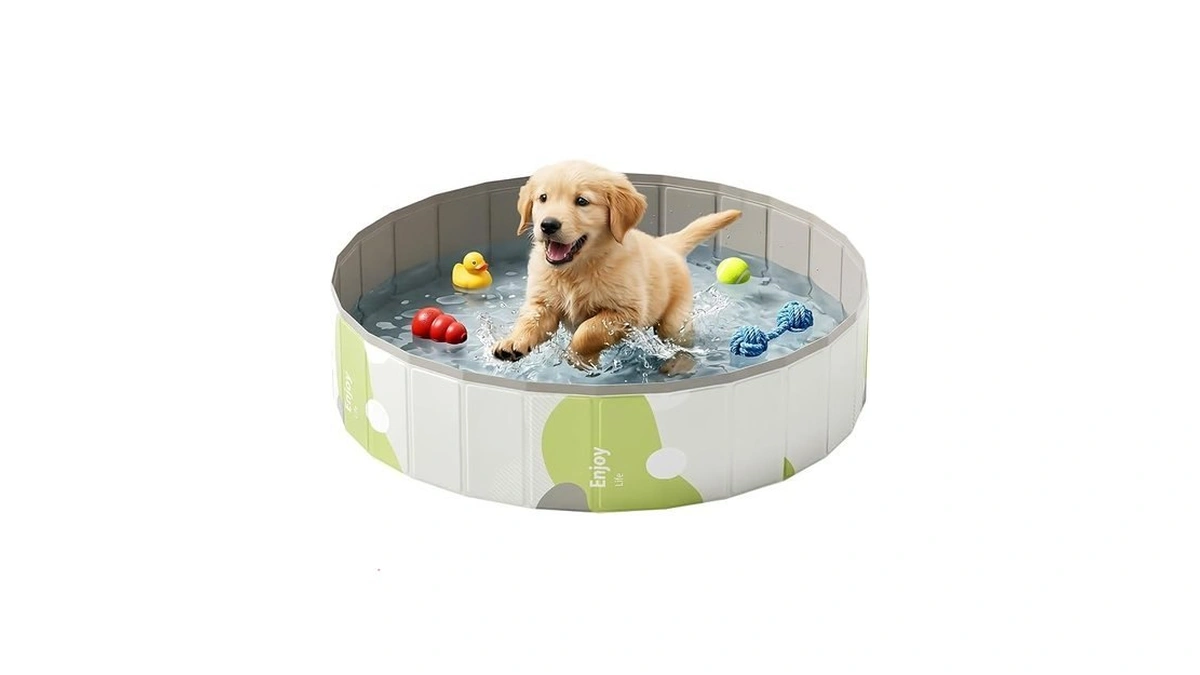 Cat Ball Pit - 32" Sturdy & Foldable Playpen For
