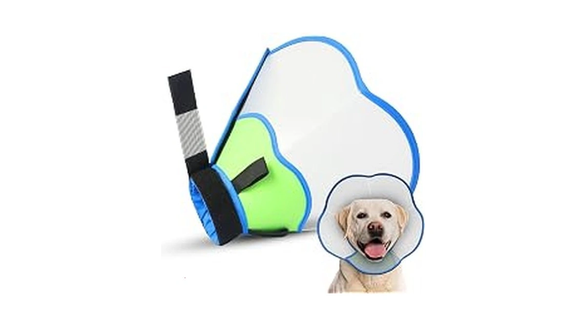 Hard & Heavy Plastic Dog Cone Collar Alternative For Lab