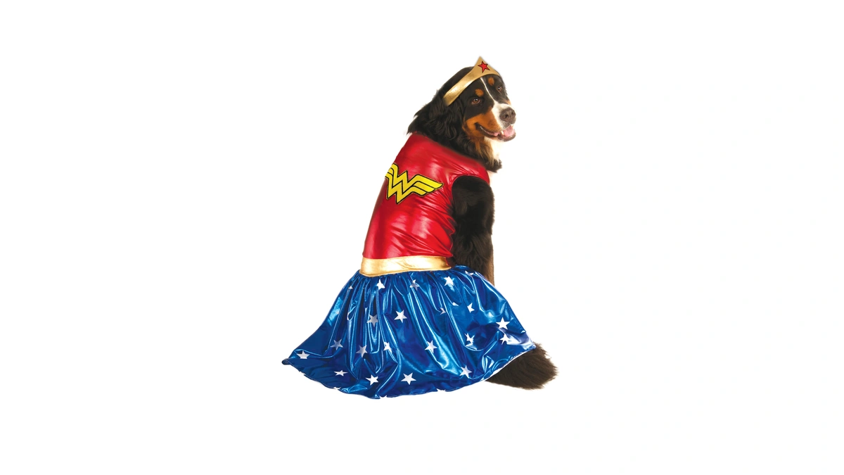 Dc Comics: Wonder Woman Pet Costume For For Dogs Or