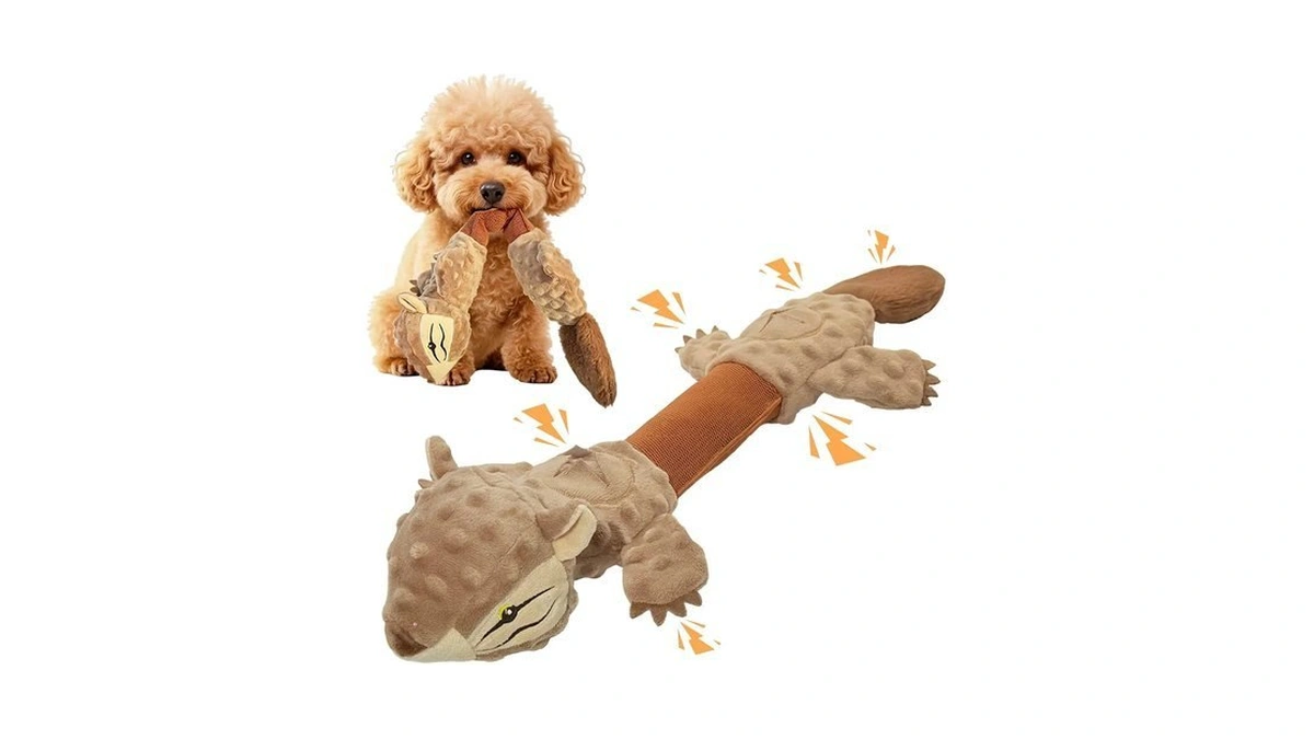 Goboloto Squeaky Squirrel Dog Toy With 2 Treat-hiding Pockets, Interactive