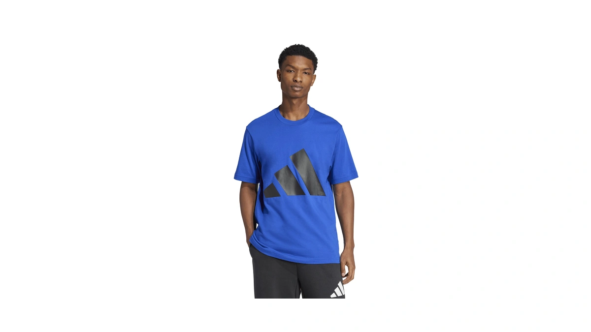 Adidas Men's Essentials Big Logo T-shirt, Team Royal Blue/black, X-large/tall