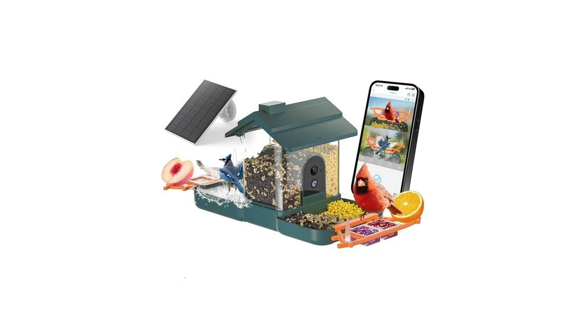 2-in-1 Bird Bath And Bird Feeder With Cameras Solar Powered