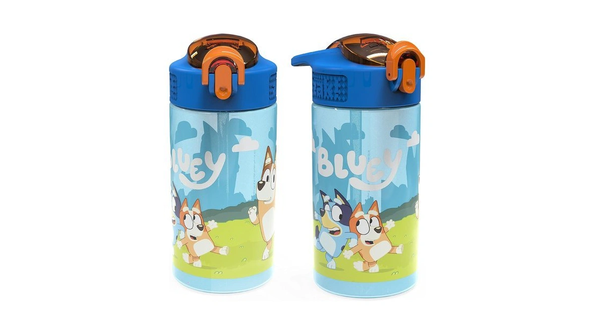 Zak Designs Bluey Sage 16oz Leak-proof Straw Kids Water Bottle,