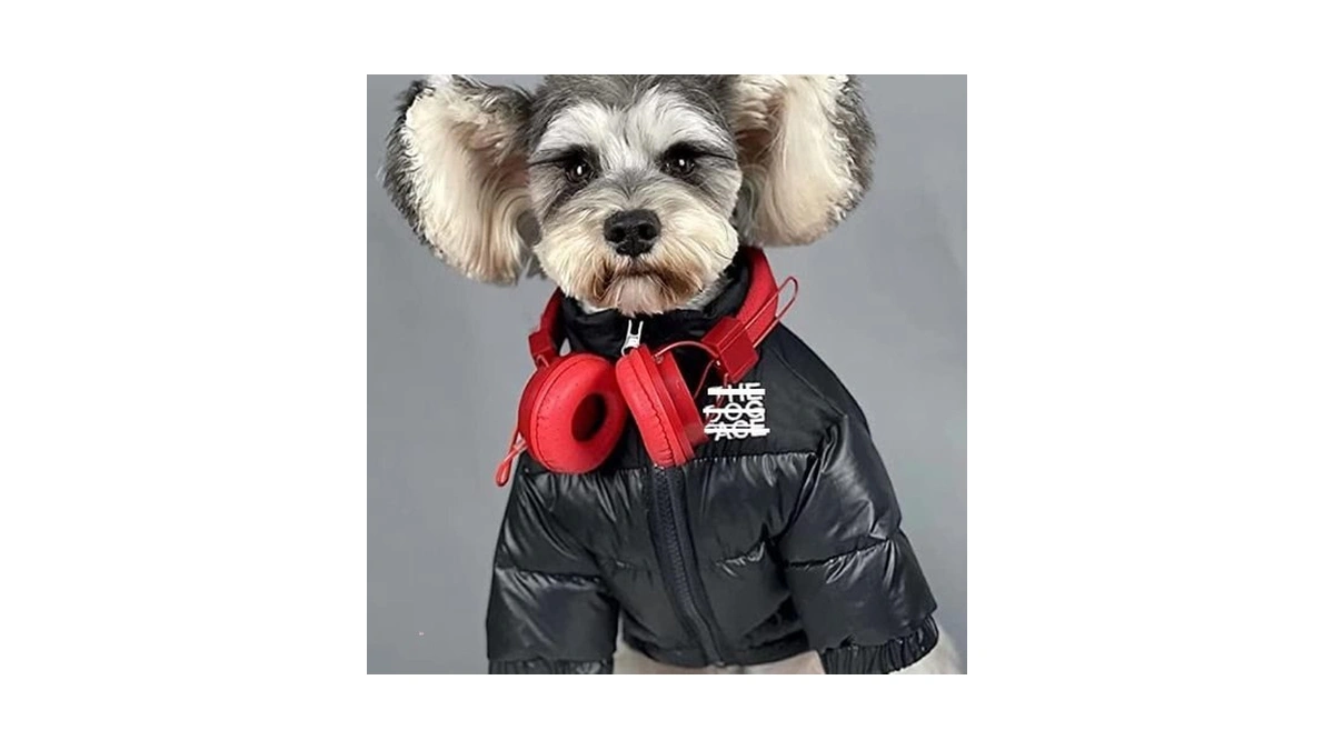 Dog Winter Coat Duck Down Jacket For Small Medium Dogs-thicken
