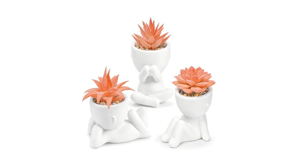 Der Rose 3 Pack Fall Fake Succulents Plants Autumn Room