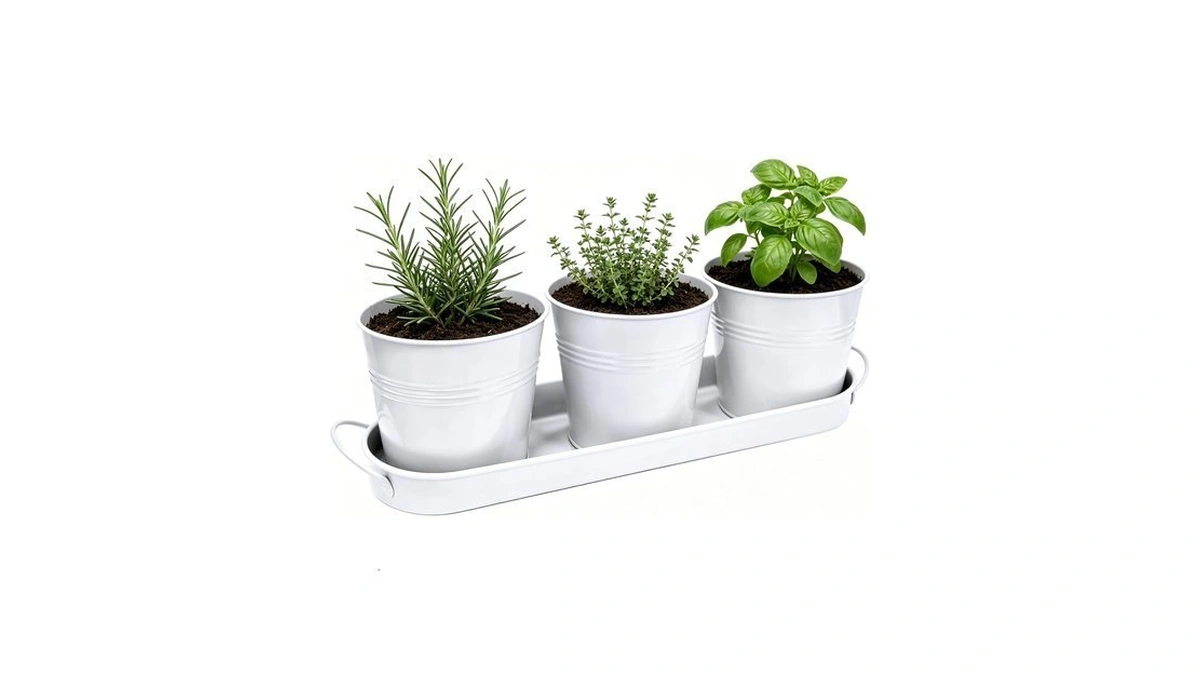 Tcbwfy Indoor Herb Garden Planter Set - 3 Pack 4.7"