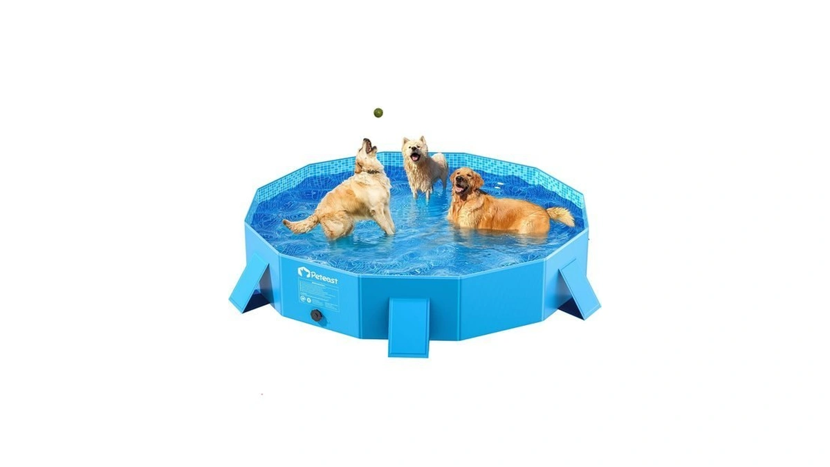 Peteast Dog Pool For Large Dogs, Foldable Hard Plastic, 64