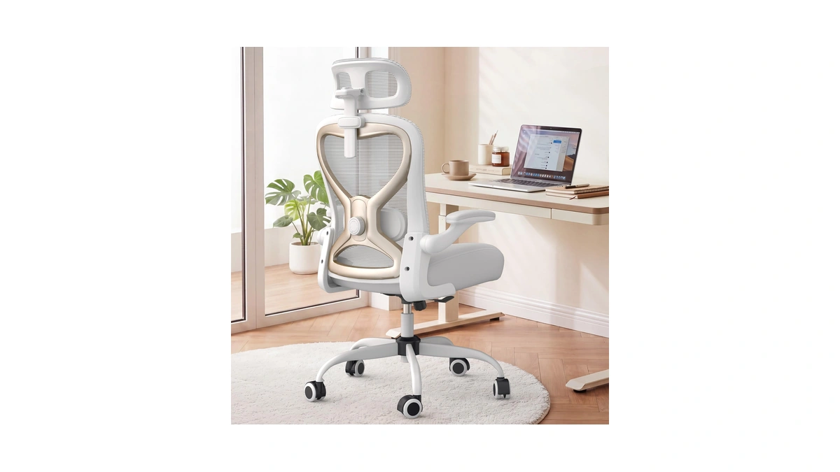 Ergonomic Office Chair For Back & Neck Pain Relief, Virgin