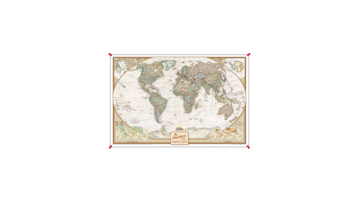Executive World Map Canvas Poster With Pins – National Geographic