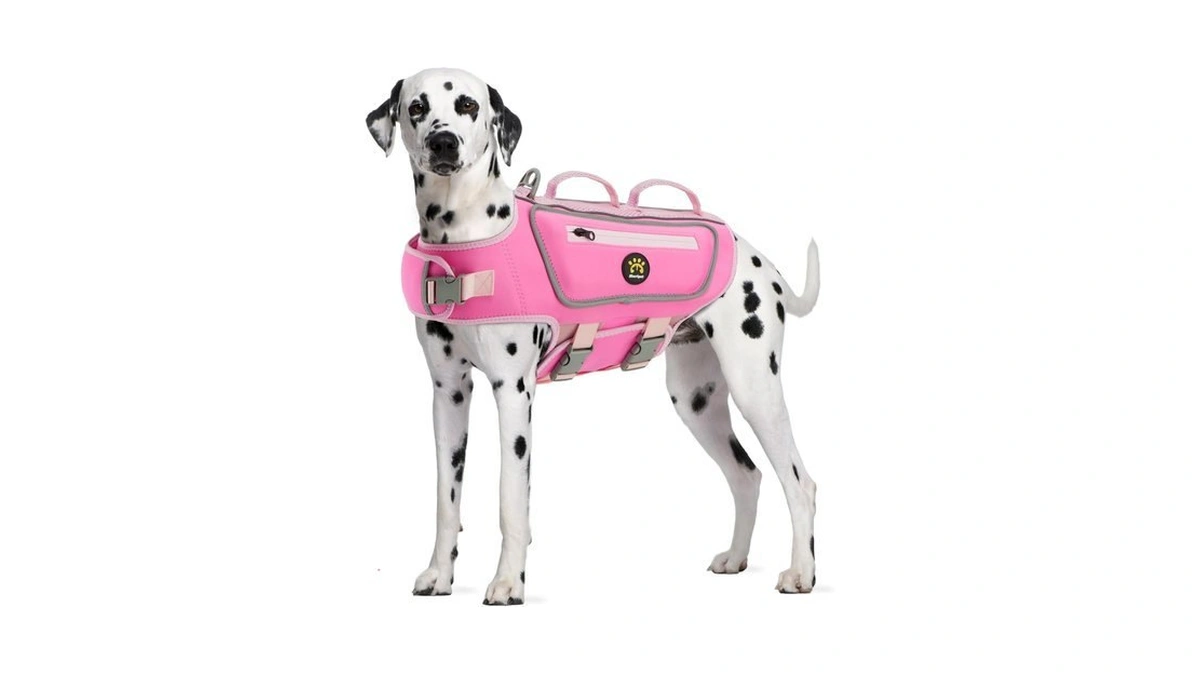 Sheripet Dog Life Jacket, Good Visibility Pet Swimming Vest For