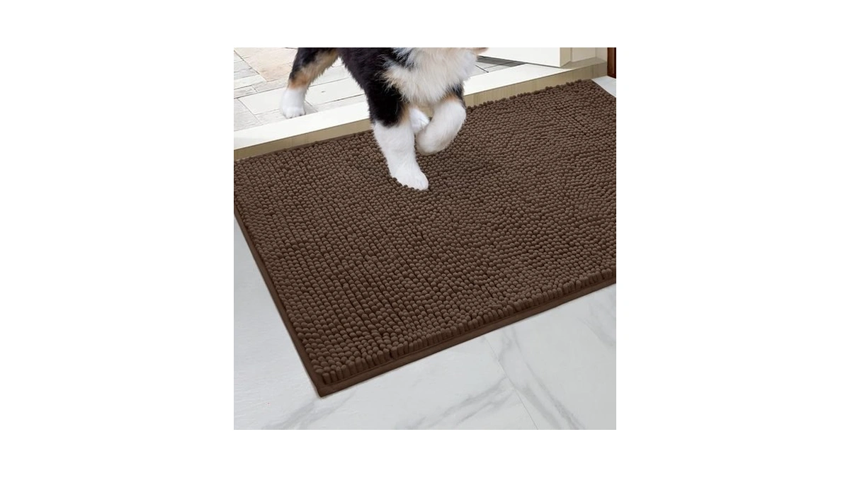 Homeideas Doormat Indoor Entrance, 32"x20", Highly Absorbent Chenille Muddy Dog