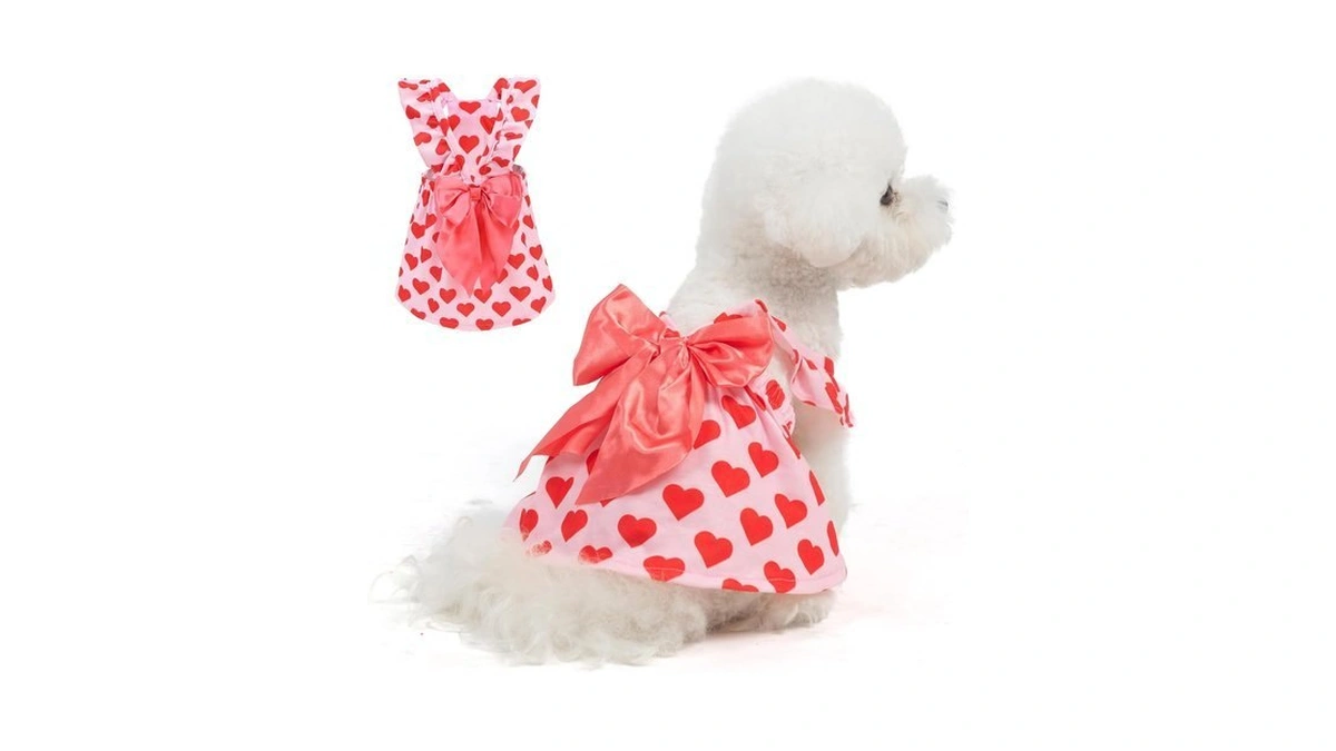 Bingpet Dog Valentines Outfit Dog Dress With Bowknot Puppy Clothes