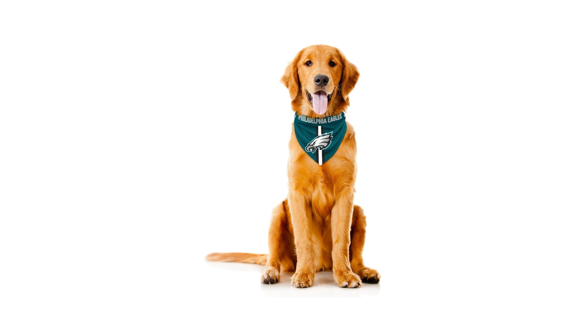 Littlearth Nfl Philadelphia Eagles Reversible Pet Bandana, X-small