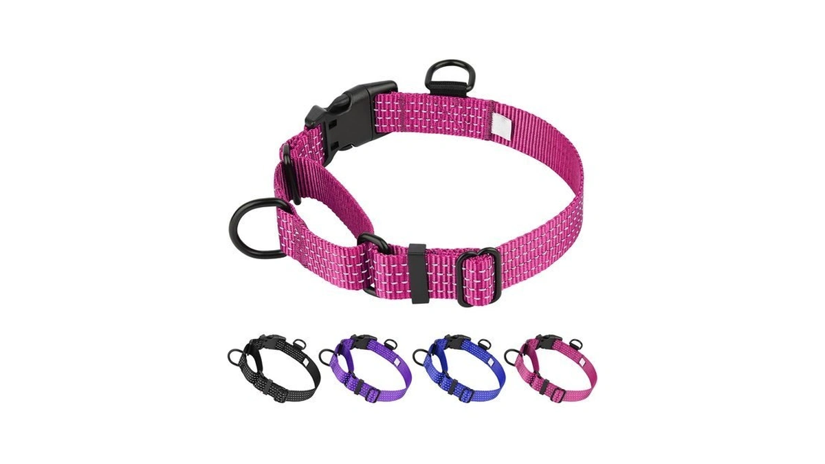 Dlitk Martingale Dog Collar, No-pull Training Collar (m, Hot Pink)