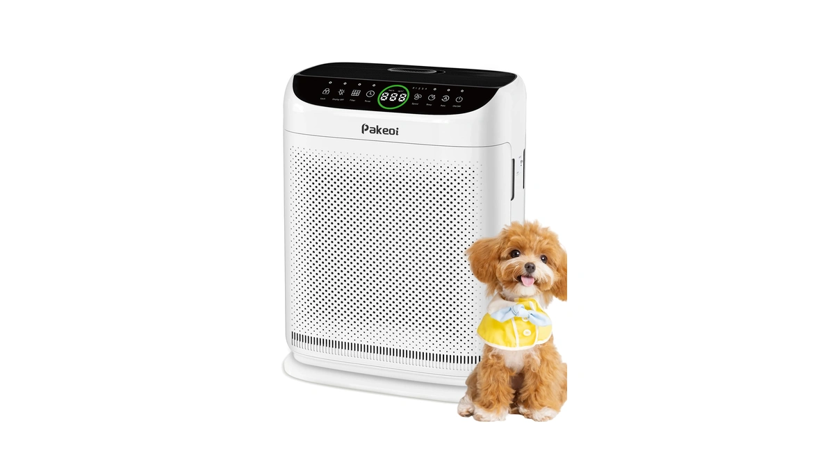 Air Purifiers For Home Large Room Up To 3000 Ft²