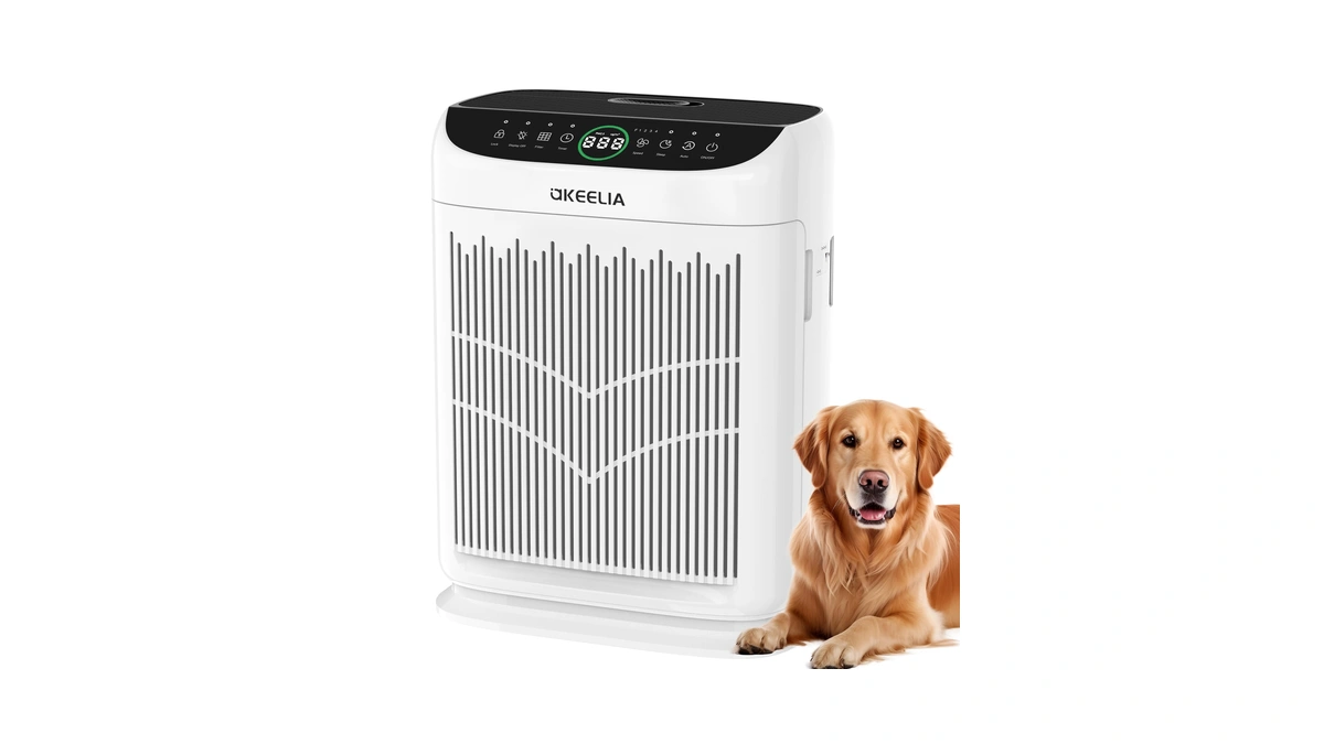 Air Purifiers For Home Large Room Up To 3000 Ft²