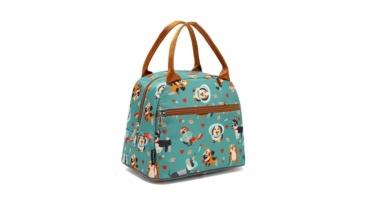 Flowfly Insulated Lunch Cooler Bag - Tote Bag Organizer For