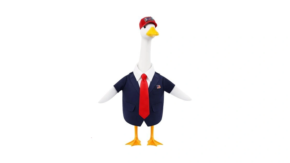 Aymolas 4th Of July Goose Outfits Patriotic Costume For Outdoor