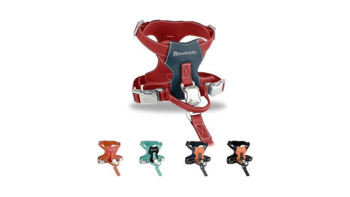 Pawkooly Magease Dog Harness With 4 Ft Leash | Anti-wrinkle