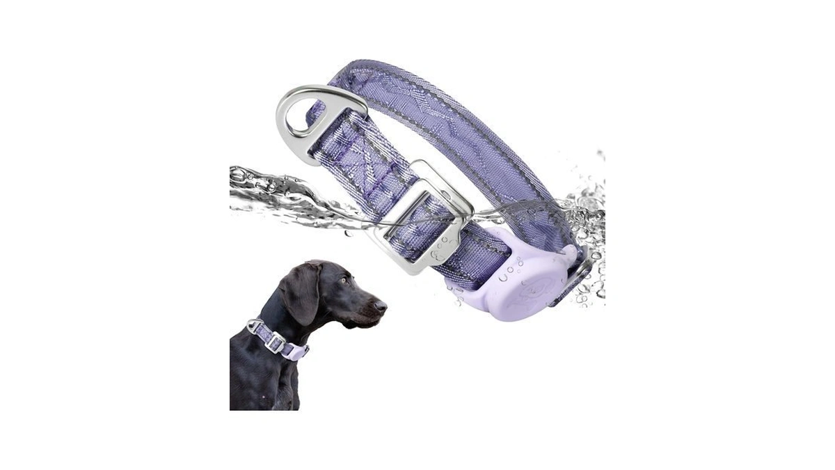 Pawtico Airtag Dog Collar, Reflective Nylon, Metal Buckle, Ip68, Dog