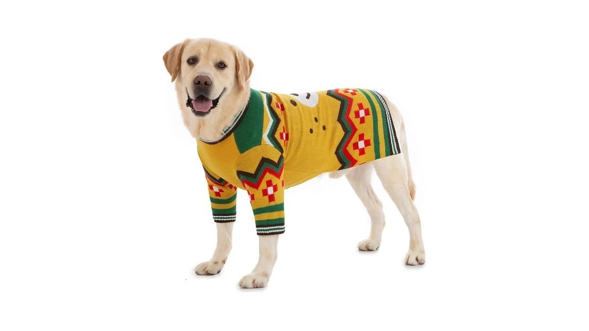 Small Dog Sweater For Male Female - Warm Halloween Autumn