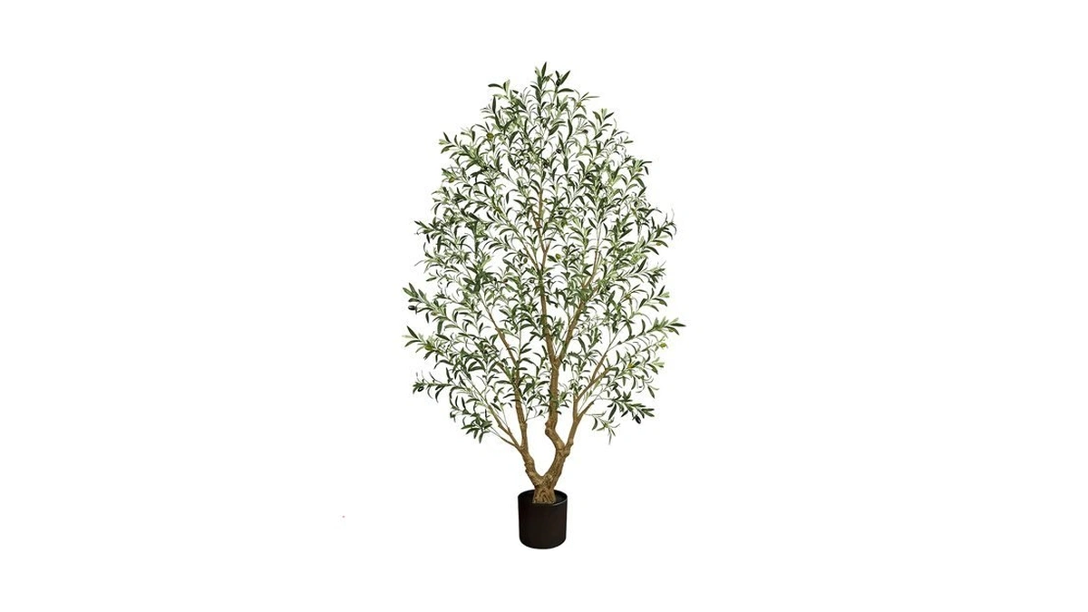Vitalismo Olive Trees Artificial Indoor: 96% Lifelike - Can't Tell