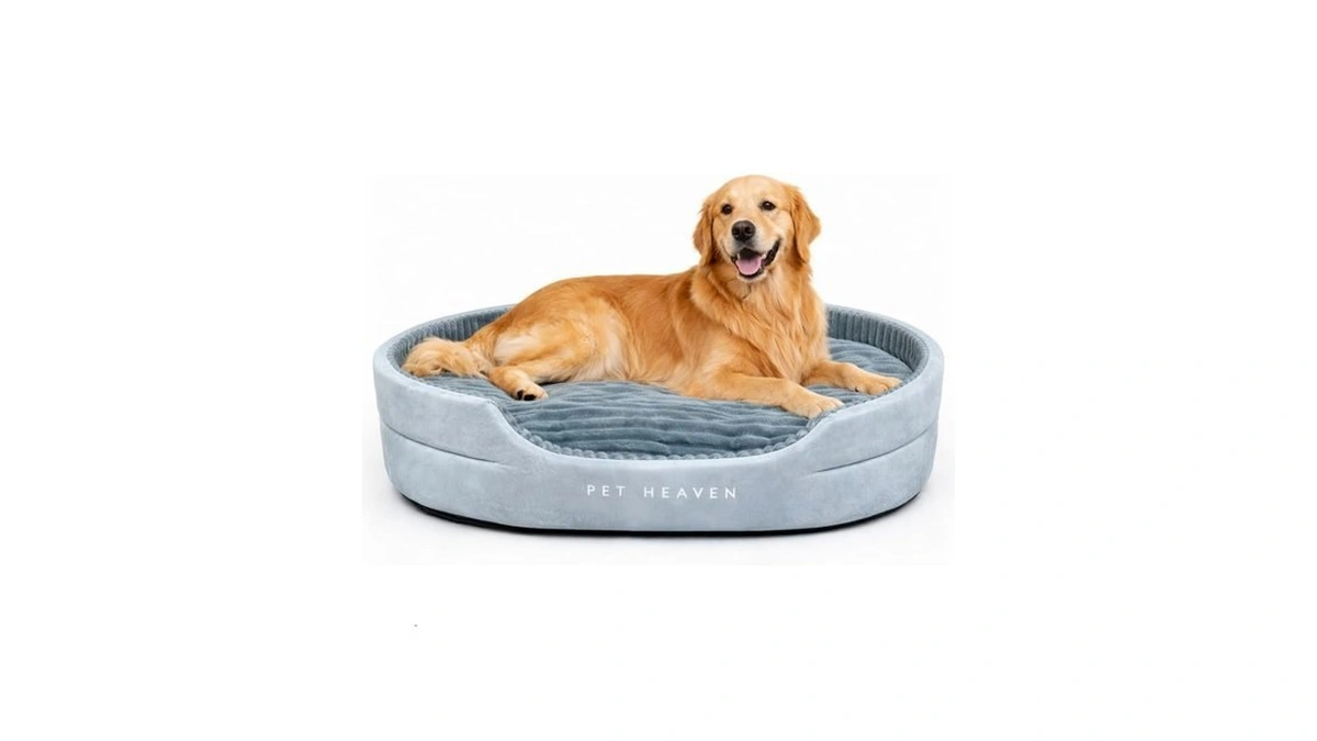 Nofkynoxa Extra Large Dog Orthopedic Bed - Comfortable Memory Foam