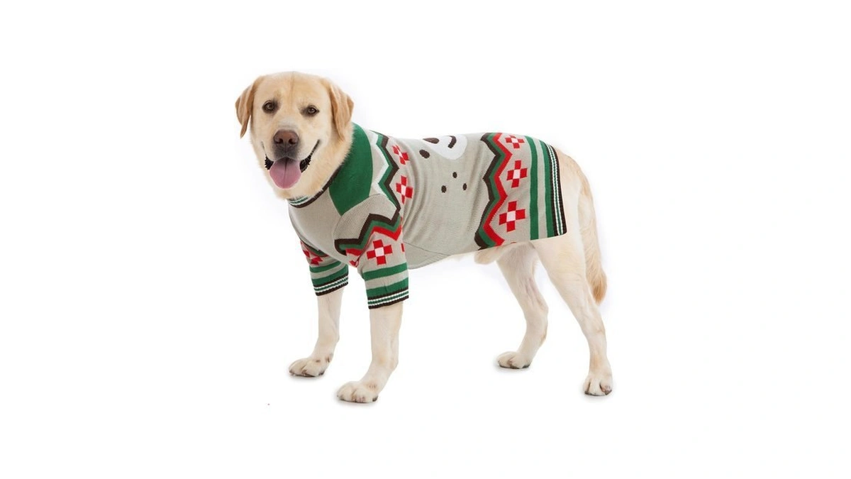 Small Dog Sweater For Male Female - Halloween, Autumn, Long