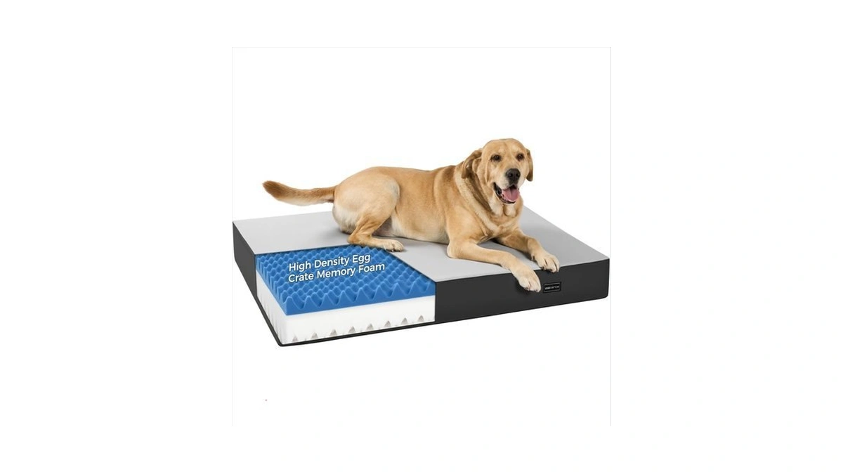 5 Inch Thick Orthopedic Dog Bed For Medium & Large