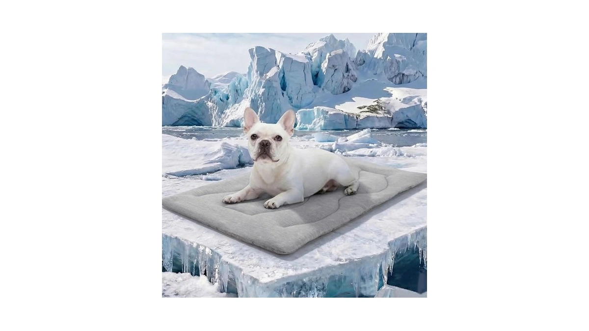 Asenku Dog Cooling Mat, Portable & Durable Cooling Mat For
