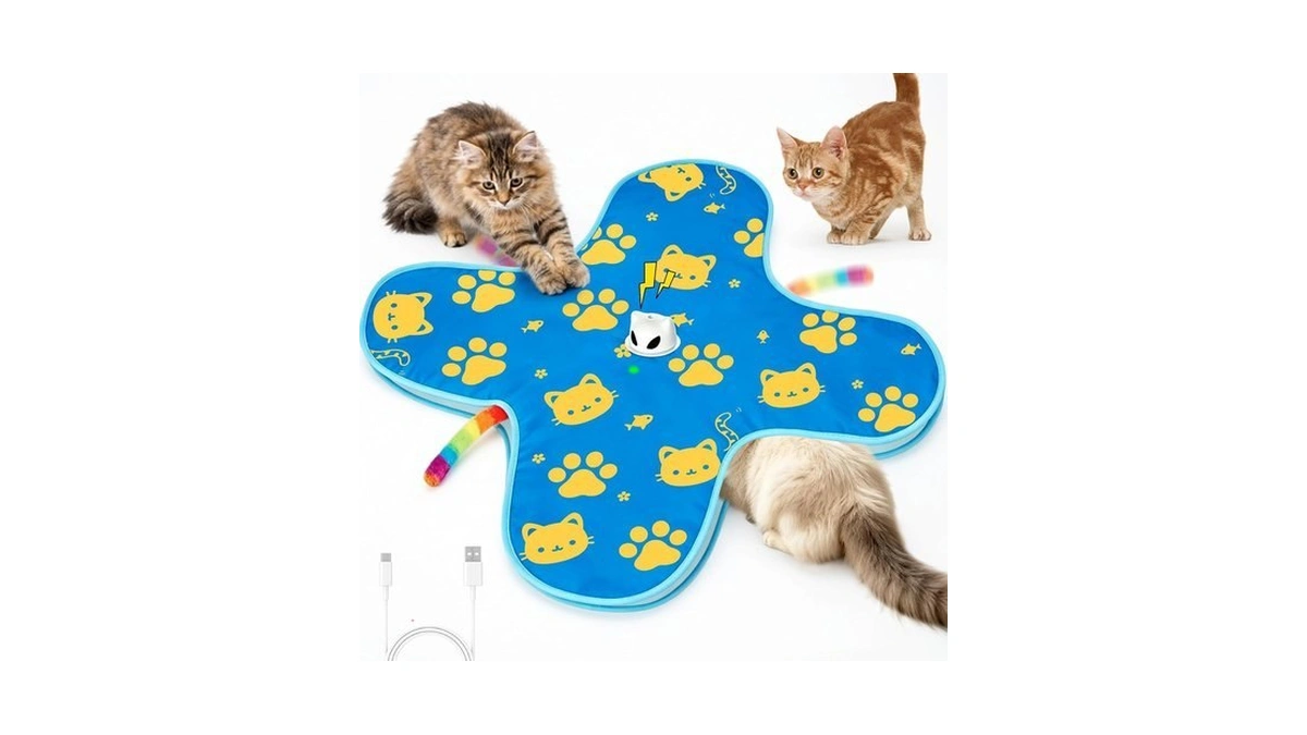 Bispty Interactive Cat Toys For Indoor Cats, Rechargeable Hide &