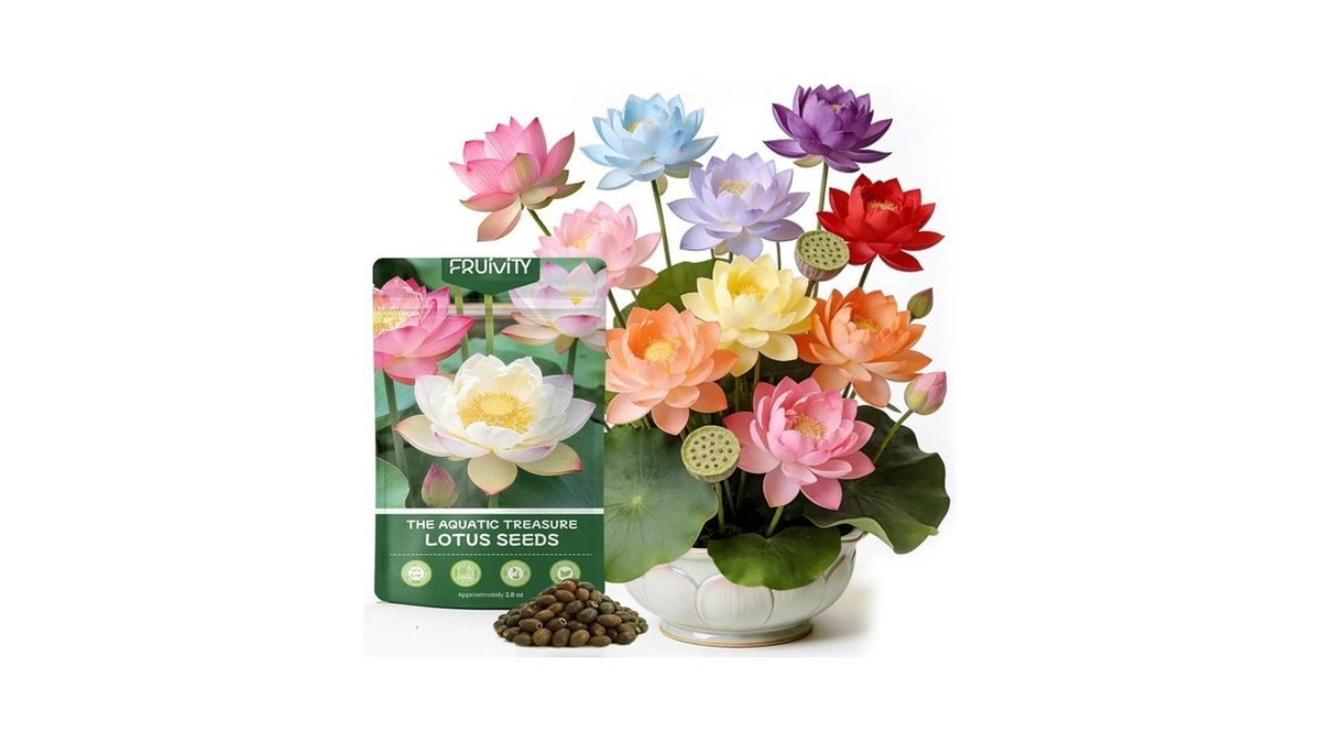 60 Pcs Lotus Seeds For Planting In Water - Mixed