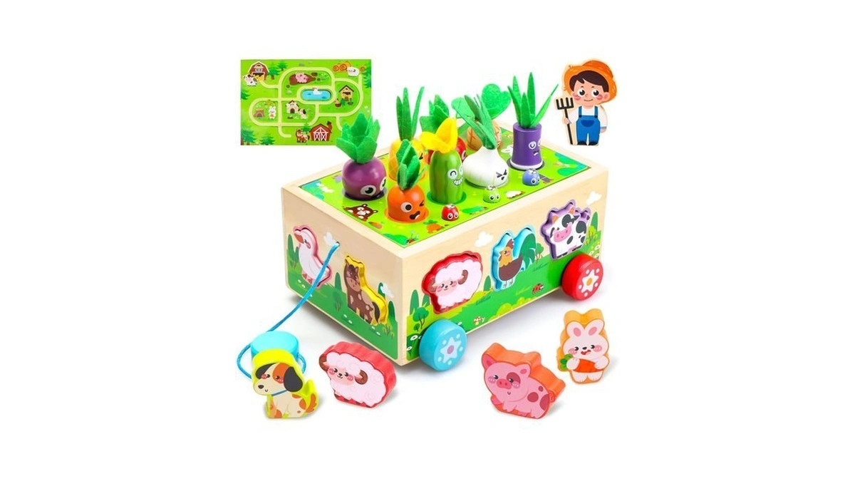 Montessori Toys For 1 Year Old|wood Animal Shape Sorting Toys