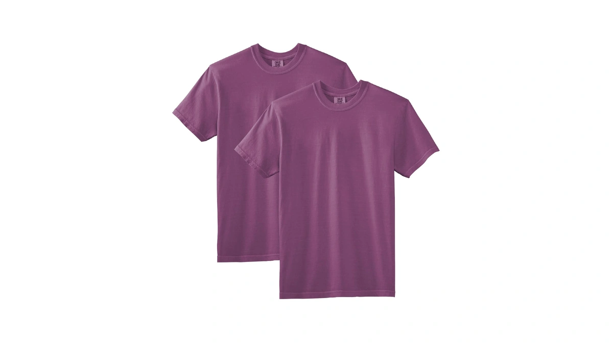 Comfort Colors Adult Short Sleeve Tee, Style G1717, Berry (2-pack),