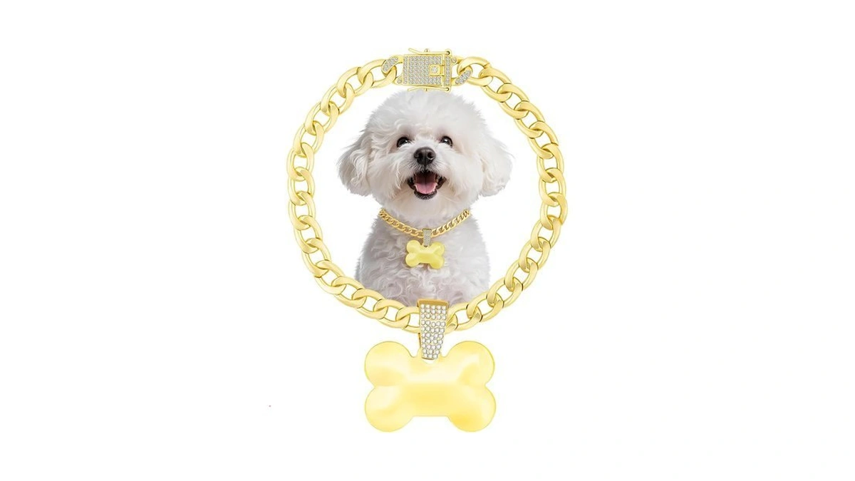 Kynox Cuban Gold Link Heavy Duty Necklace Dog Cat Collar