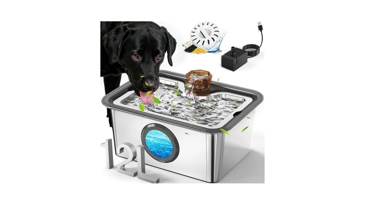 Stainless Steel Dog Water Fountain: 3-gal Large Capacity, Ultra Quiet