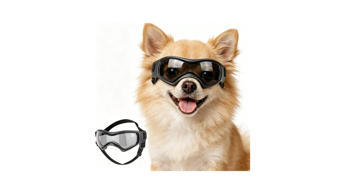 Enjoying Puppy Sunglasses For Small Dogs