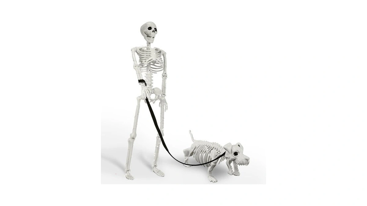 Lighted Human & Dog Skeleton Halloween Decorations Outdoor/indoor - 36