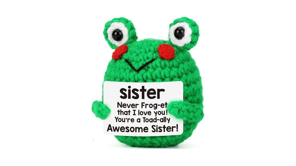 Sisters Gift From Sist-er Brother, Cute Sister Christmas Birthday Gifts