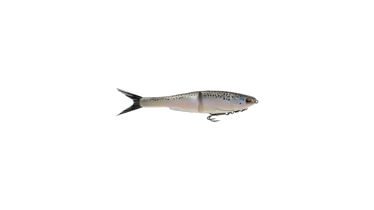 Berkley Powerbait Nessie Glide Bait, Rainbow Trout, 9 In, Fishing