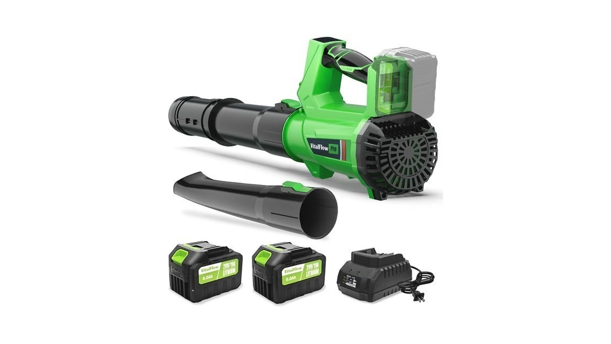 Cordless Leaf Blower With 2× 6.0ah Batteries And Charger, 540cfm/170mph